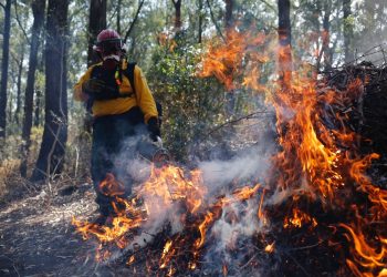 Incendios forestales en Guatemala