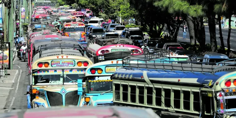 Operativos de transporte extraurbano