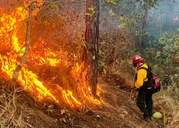 Incendios forestales en Guatemala
