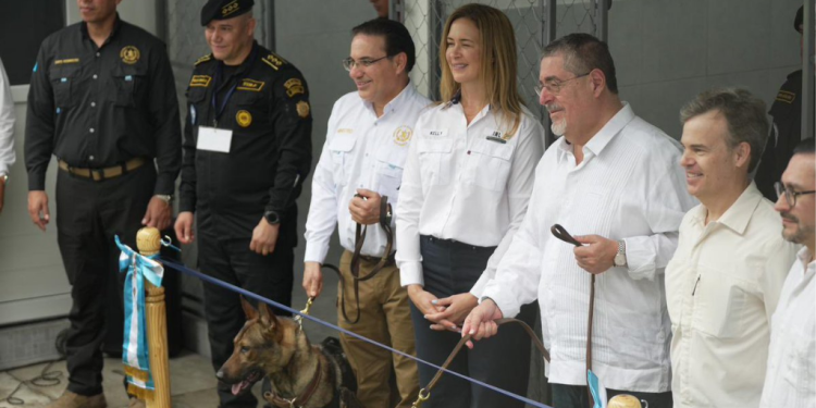 Seguridad en el puerto Santo Tomás de Castilla