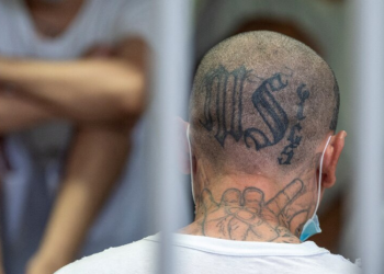 Identificación de tatuajes