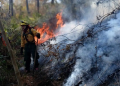 Alerta por incendios forestales