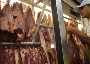 Exportación de carne a EE. UU.