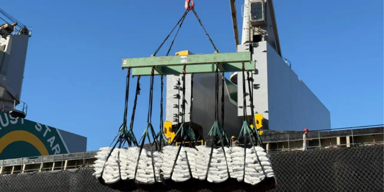 Agilización de exportación de azúcar en Puerto Quetzal