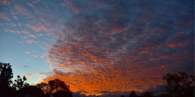 Ingreso de frente frío