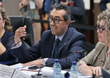 Subsidio a los combustibles