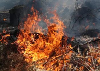 Incendios forestales Guatemala