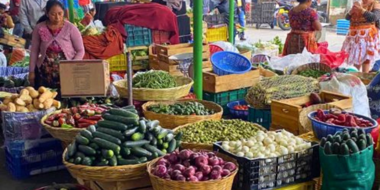 Aumento precios Terminal zona 4 impacta