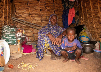 Crisis alimentaria mundial 2025