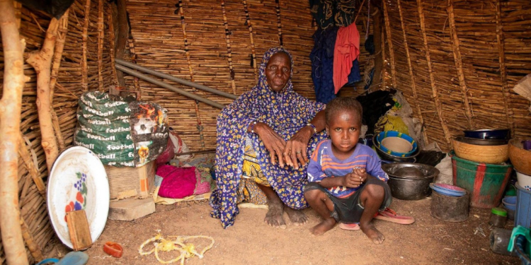 Crisis alimentaria mundial 2025