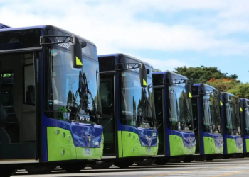 Nuevas rutas de transporte sumarán hasta 300 autobuses