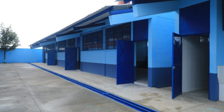 Remozamiento de escuelas avanza