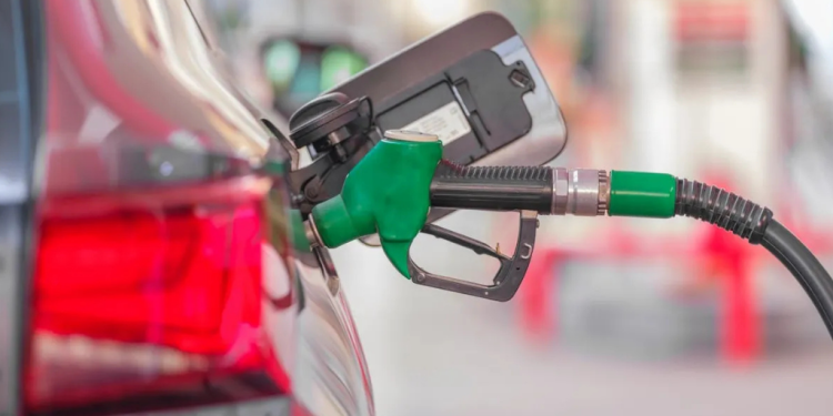 Rebaja de combustibles beneficia nuevamente