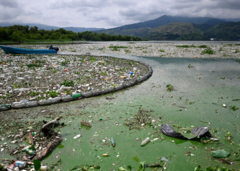 Contaminación del agua preocupa tras hallazgos