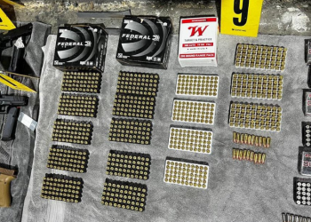 Decomiso de armas en puertos