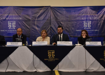 Partido Raíces queda inscrito