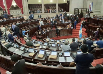 Exoneración parcial de impuestos a los combustibles