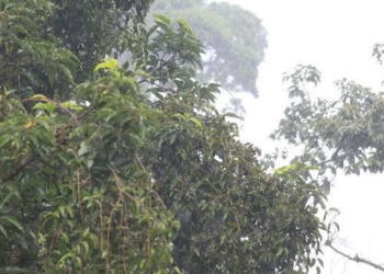 Dos sistemas de baja presión mantendrán lluvias