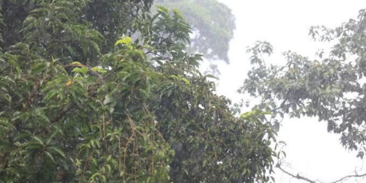 Dos sistemas de baja presión mantendrán lluvias
