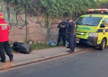 Restos humanos son localizados dentro de bolsas
