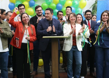 Partido Raíces