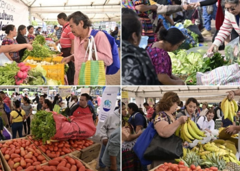 Ferias del agricultor