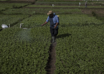 Seguro agrícola